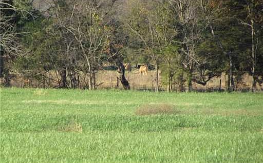 2nd image of Goshen Tuttle Rd