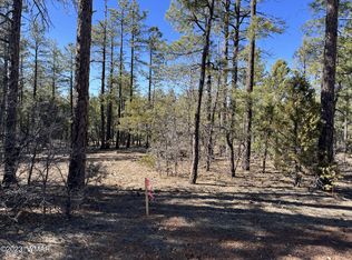 150 E Meadow Ridge Ln, Show Low, AZ 85901