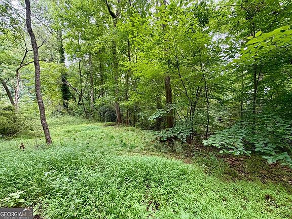4th image of 4824 Flakes Mill Rd