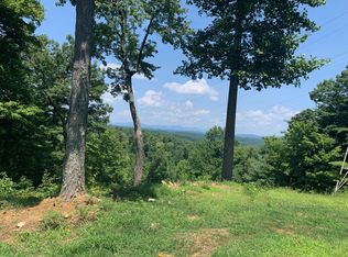 844 Pace Mountain Rd, Saluda, NC 28773