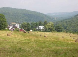 Stevens Point Rd, Starrucca, PA 18462