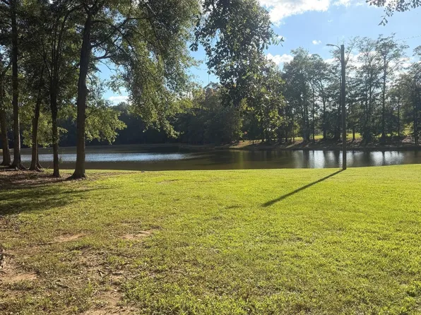 3105 Hollonville Rd, Williamson, GA 30292