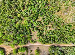 393 Rose Island Rd, Wollaston, ON K0L 1P0