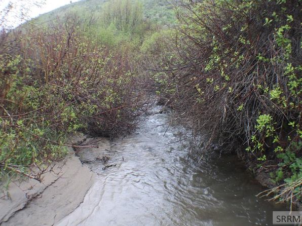 24 Miles Rd, Bancroft, ID 83217