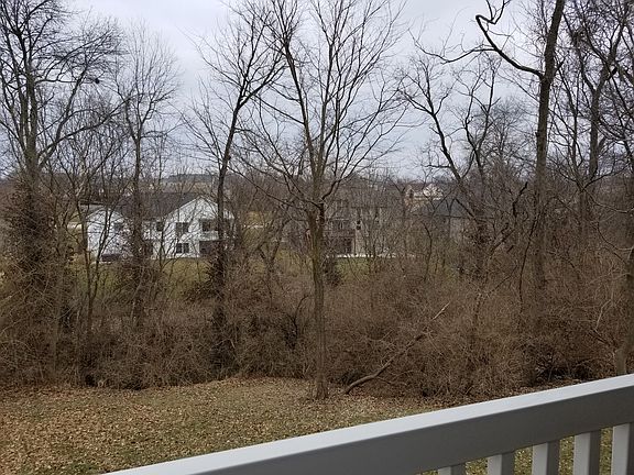 Wooded view from deck