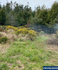59198 Frog Pond Rd, Bandon, OR, 97411