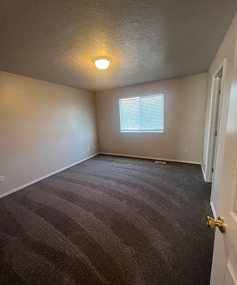 2803 Carnegie St — Photo 9