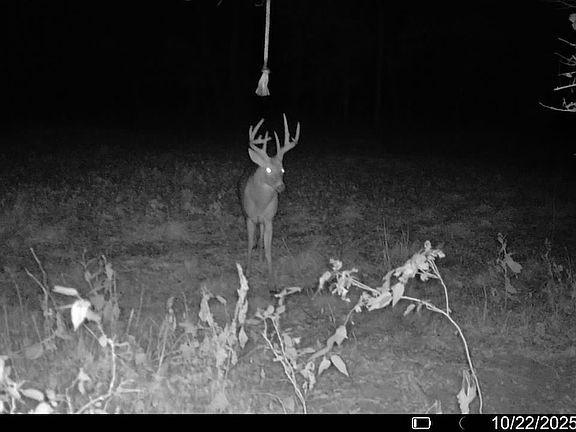 2nd image of E 200th Rd