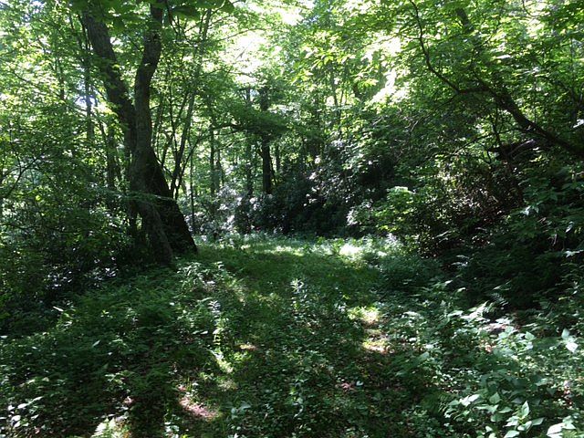 1st image of Possum Hollow Terrace