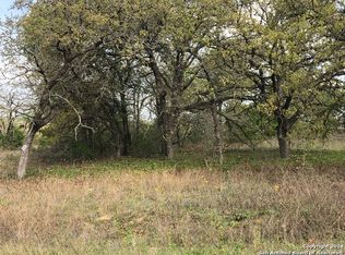 133 Great Oaks Blvd, La Vernia, TX 78121
