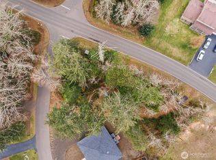 107 Duck Lake Drive SE, Ocean Shores, WA
