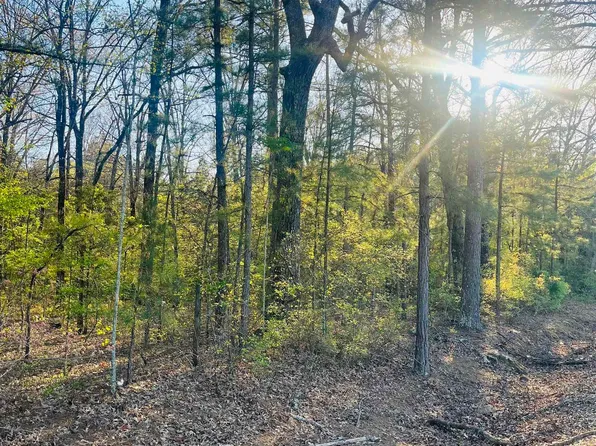 Hoover Ln, Monticello, AR 71655