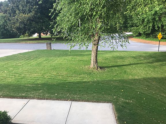 View from Front Door 