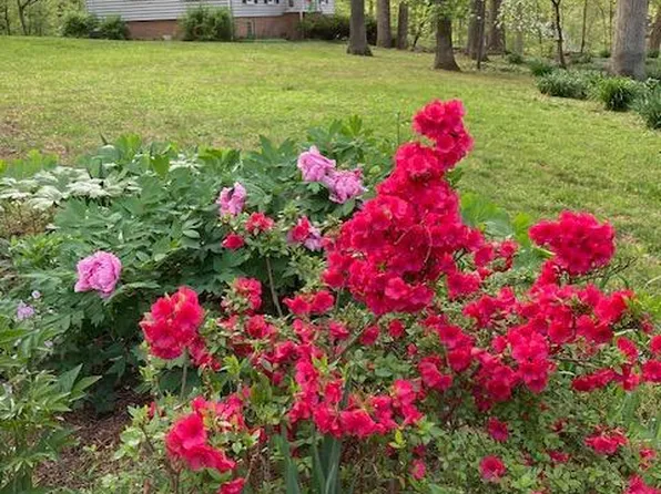 158 Old Forest Cir, Winchester, VA 22602