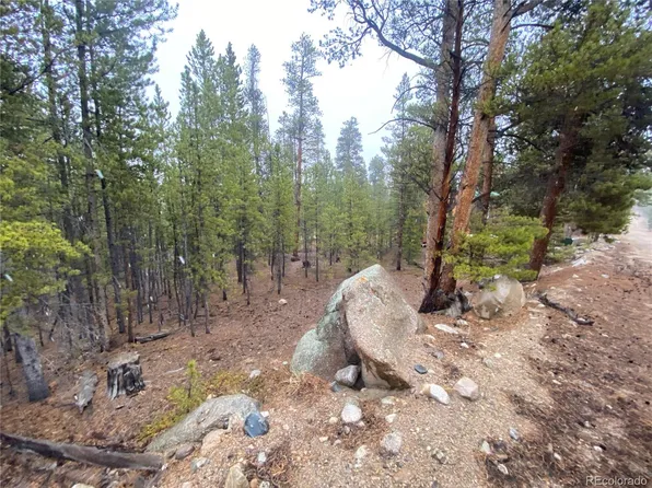 143 Juniper Drive, Twin Lakes, CO 81251