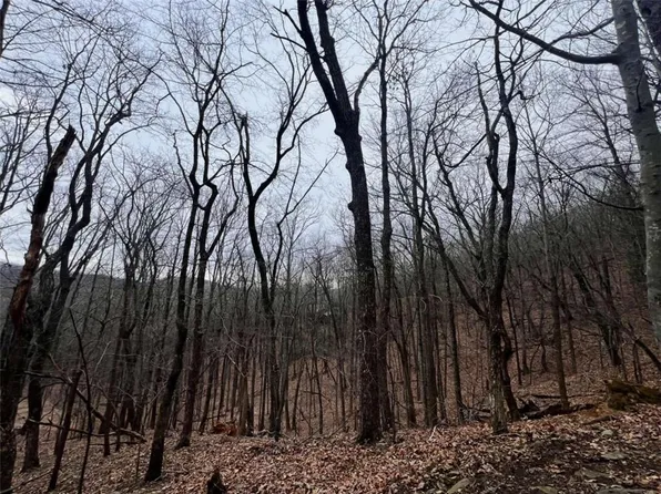 315 Windflower Dr #6229, Big Canoe, GA 30143