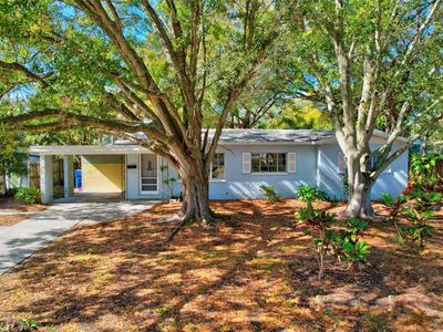3407 S Lightner Dr, Tampa, FL, 33629