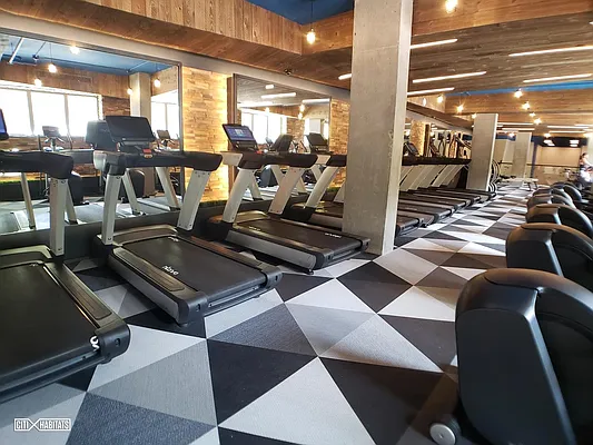 Rented by Citi Habitats | media 81