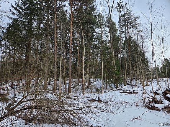 5th image of Syler Rd