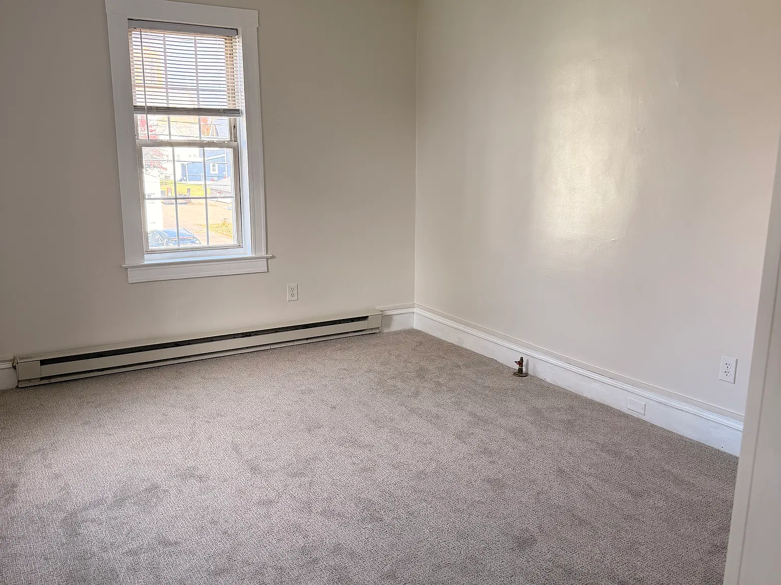 203 Chemung Street - 2W — Photo 4