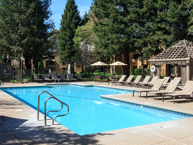 Shadow Creek Apartments — Photo 14