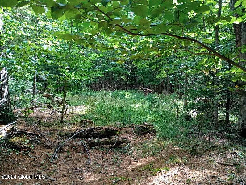 4th image of L59 Antler Lake Road