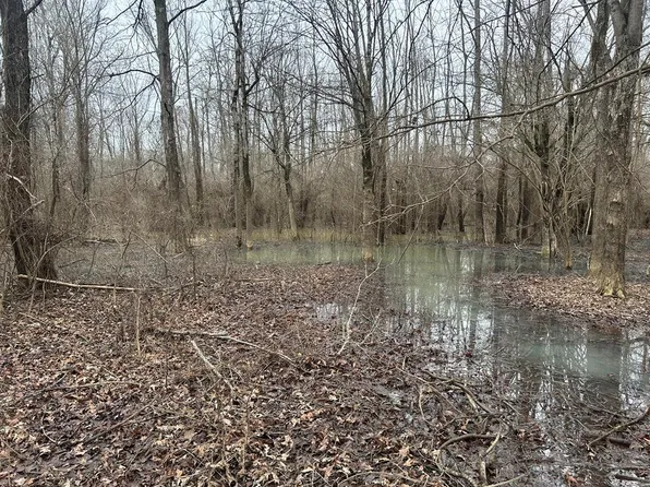 0 Campbell Swamp Rd, Vicksburg, MS 39180