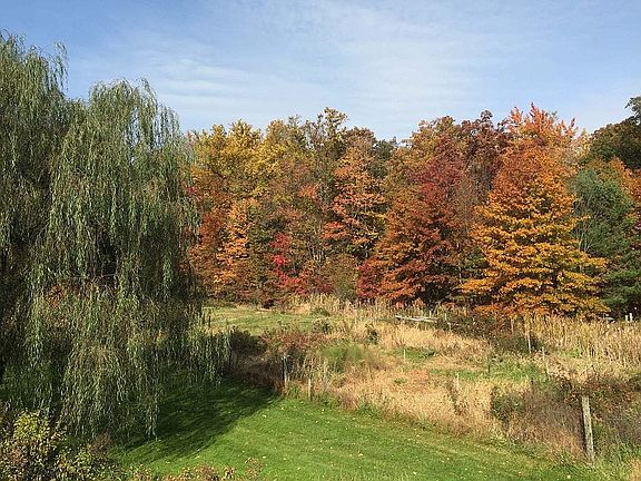 Fabulous Fall Colors!