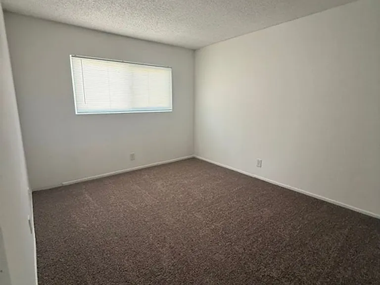 2512 Tulip Ln — Photo 12