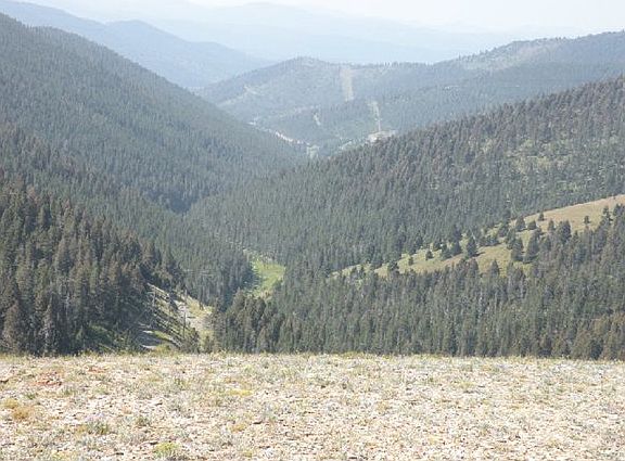 3rd image of 3960 Divide Dr
