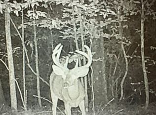 1 Highway 12, Lexington, MS 39095