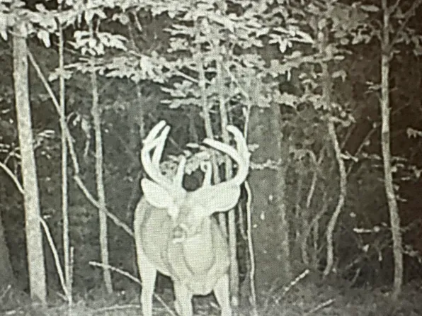 1 Highway 12, Lexington, MS 39095