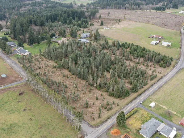 0 Brown Road E, Chehalis, WA 98532