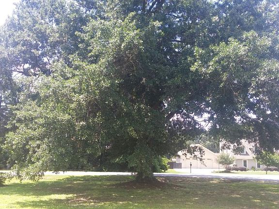 5th image of 111 Meadow Wood Dr