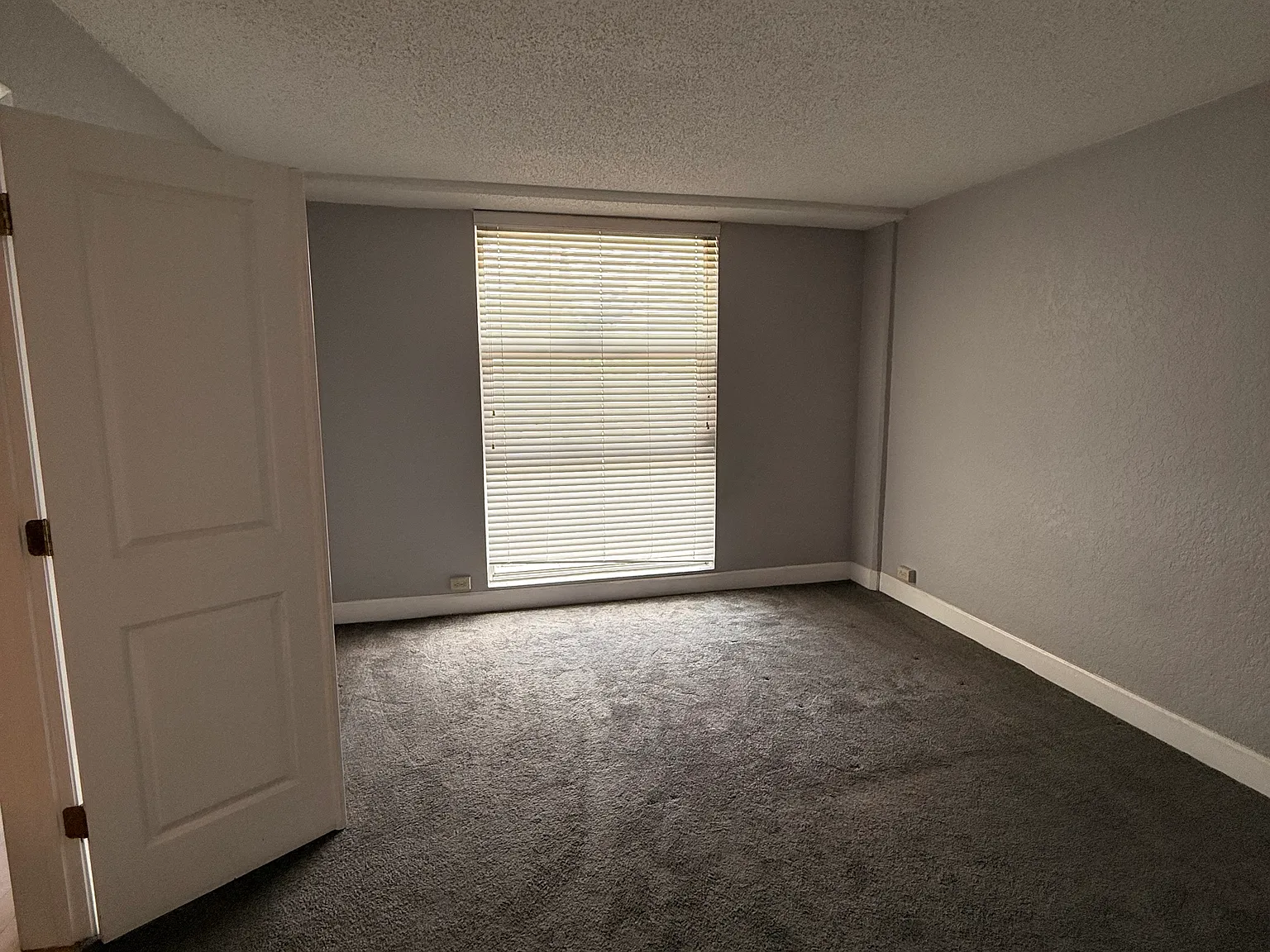 1 bed, 554 sqft, $1,500 — Photo 4