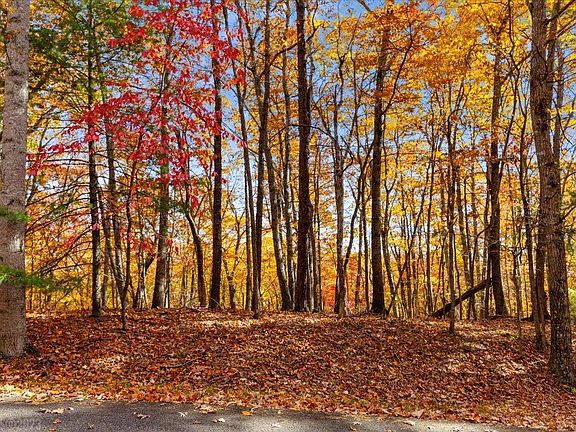 2nd image of Laurel Dr