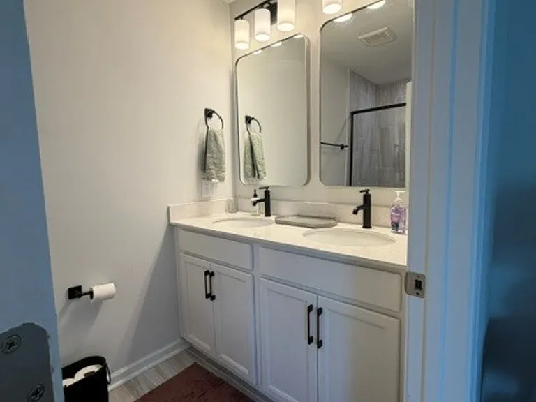 Green Fern Dr — Photo 14