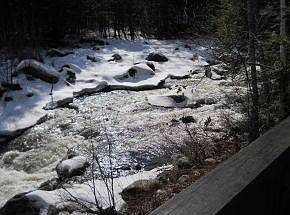 watch the kayaks go by