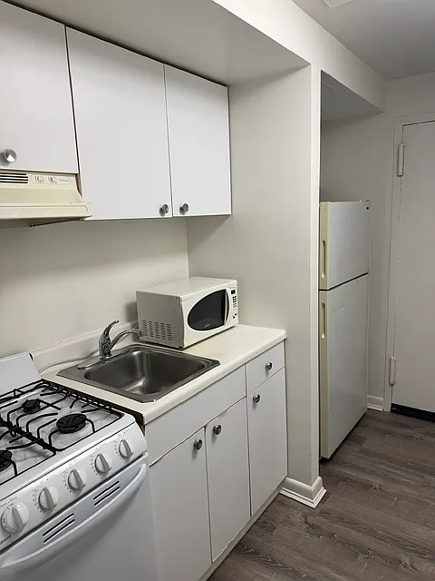 Studio, 401 sqft, $1,600 — Photo 3