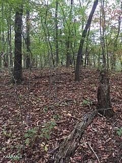 1st image of 0 Belmont Dr Lot 8