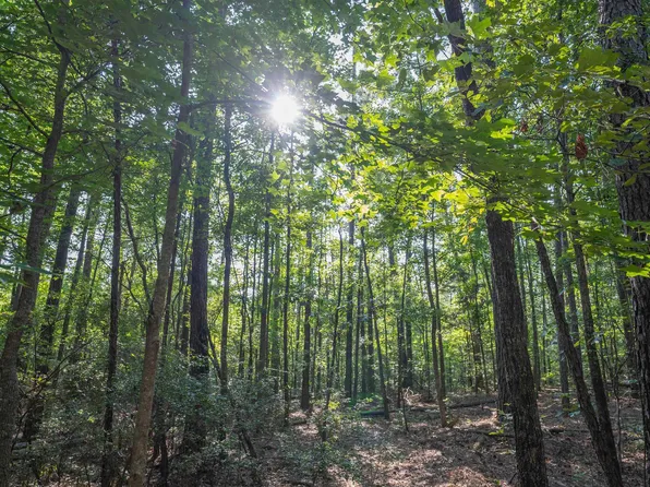 5085 Brooks Rd, Ideal, GA 31041