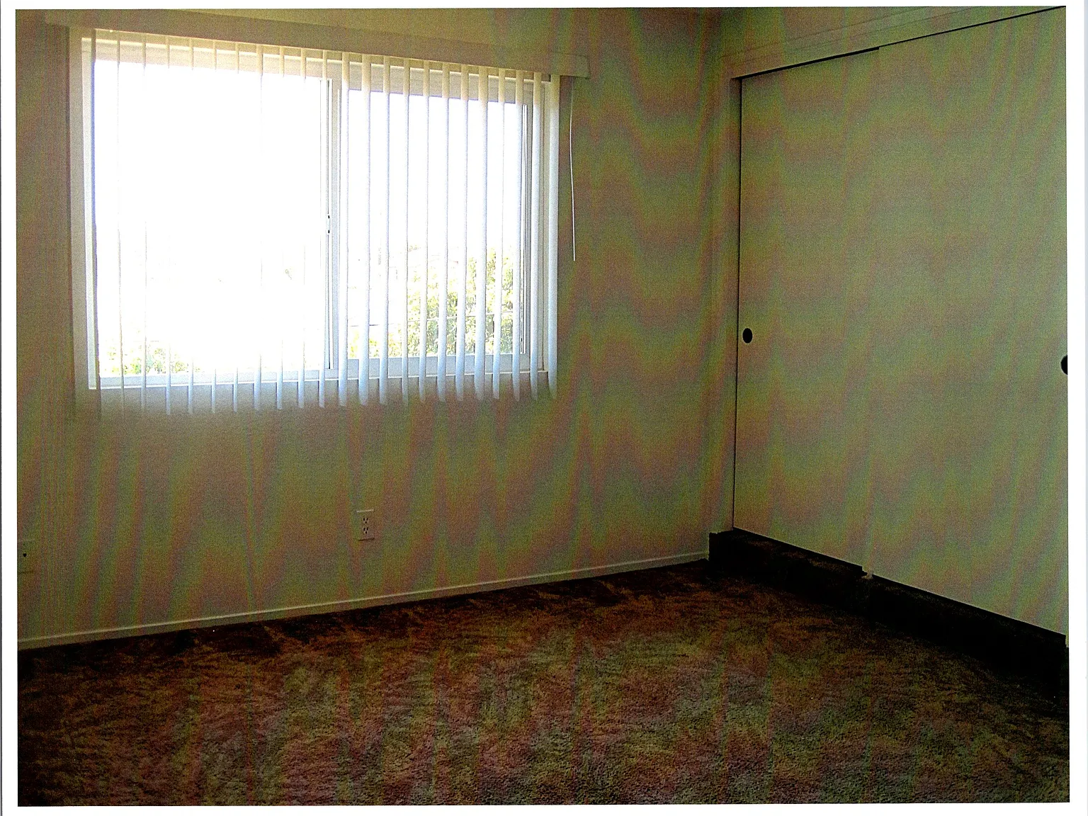 2 bed, 1.5 bath, 1000 sqft, $1,875 — Photo 2