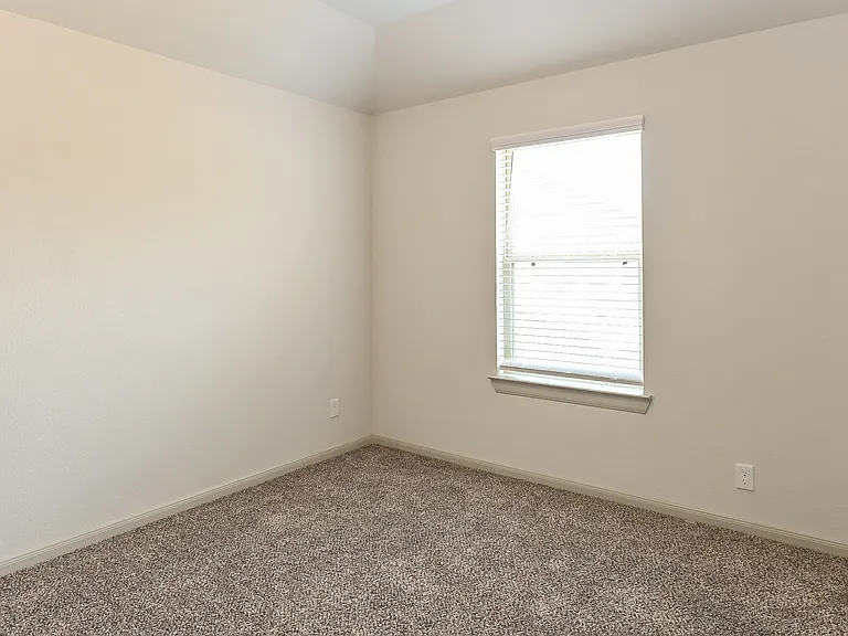 7915 Fijian Cypress Dr — Photo 16
