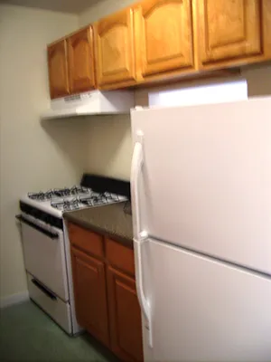 Rented by Perry Associates NYC Inc | media 25