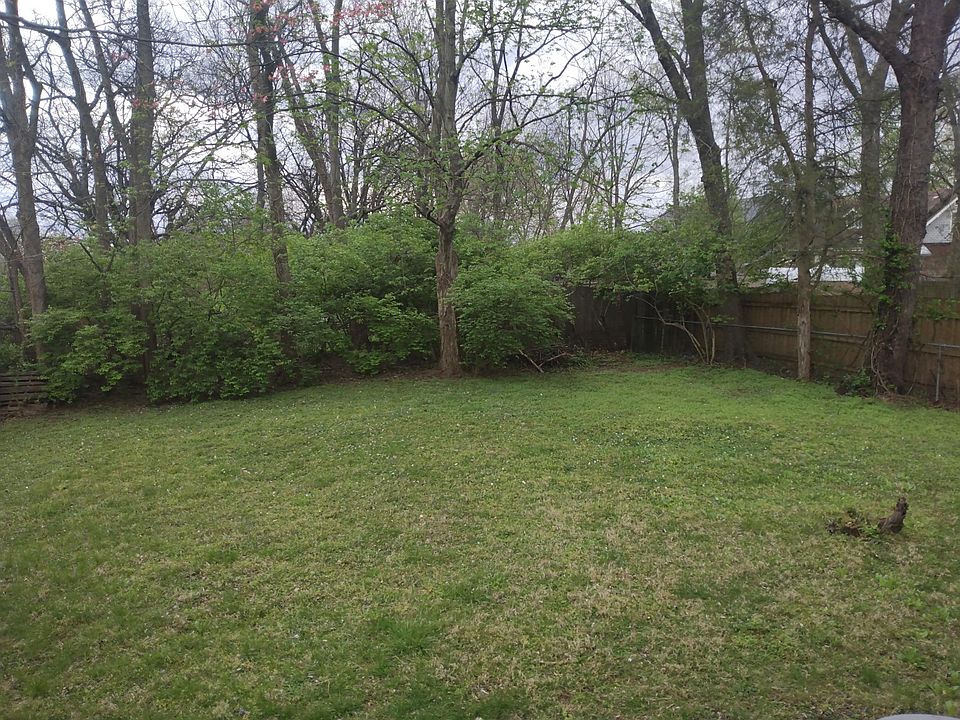 Large private back yard