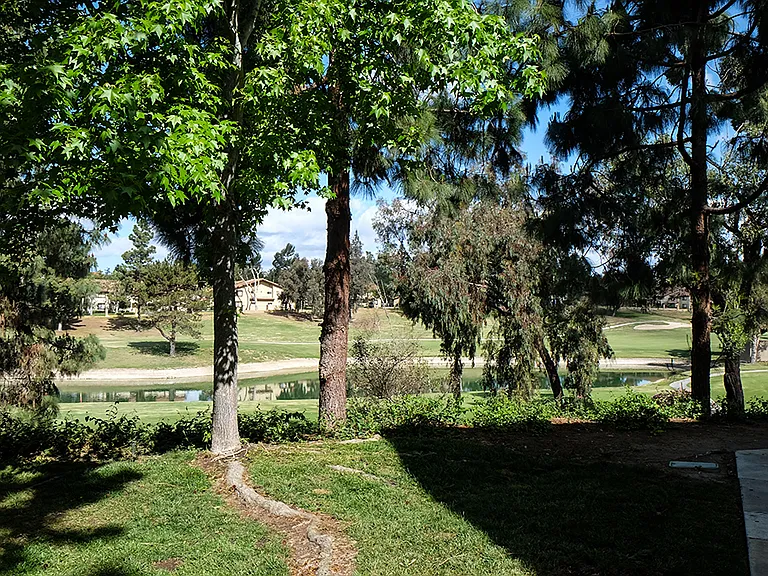 Shadowridge Summerwind — Photo 16
