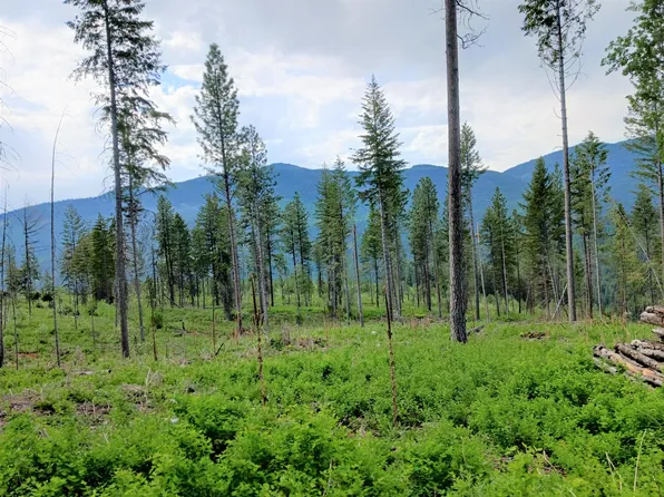 272 Anderson Rd, Kettle Falls, WA 99141