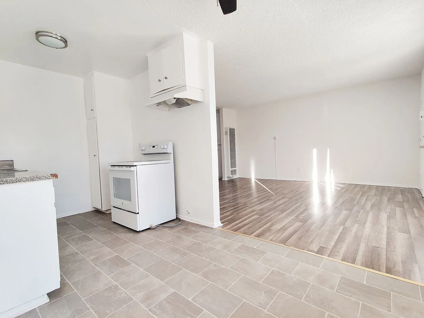 8351 Northgate Garden - Tragocon, LLC — Photo 3