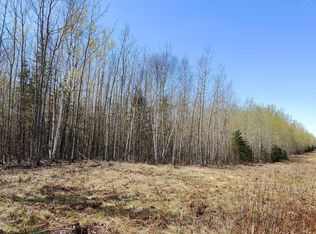 Tbd4 Hwy #115, Tower, MN 55790