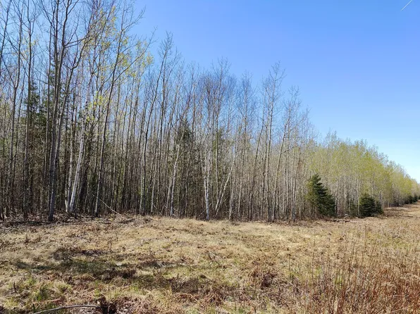 Tbd4 Hwy #115, Tower, MN 55790